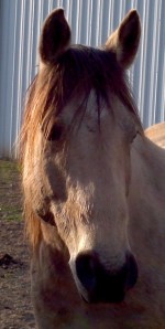 I guess I have to believe her