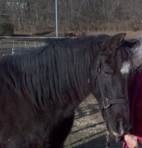 2014-01-13_15-13-42_696