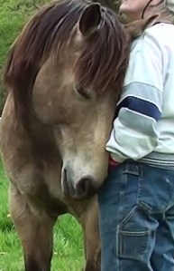 for galahad and the beanstalk