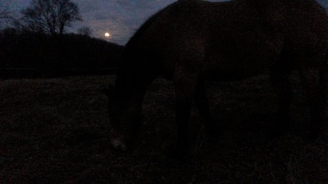 24232056_10213164801708926_2901769623883996780_n (2)